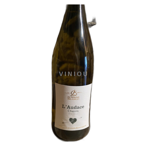 Loire Valley Anjou Domaine Des Forges L'Audace 2022