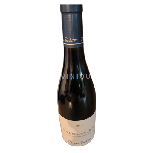 Borgoña Chambolle-Musigny Morgan Fruchot 2022