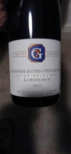 Burgundsko Hautes Côtes de Nuits Philippe Gavignet La Montagne 2022
