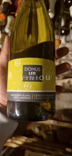 Sud-Ouest Côtes de Gascogne Domus Uby Non Millésimé