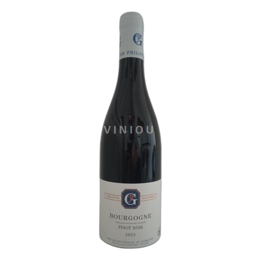 Bourgogne Philippe Gavignet Pinot Noir 2023