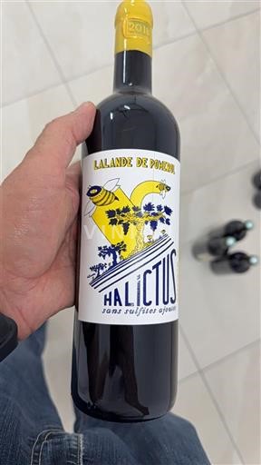 Bordeaux Lalande-de-Pomerol Halictus 2018
