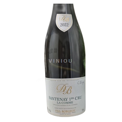 Burgundy Santenay Domaine Borgeot La Comme 2022