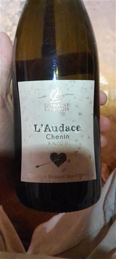 Loire Valley Anjou Domaine Des Forges L'Audace 2023