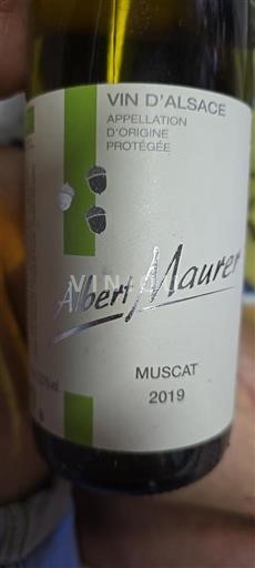 Alsacia Grand Cru Albert Maurer Muscat 2019
