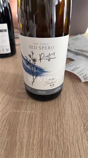 Alsace Alsace Grand Cru Grand Cru Domaine Siebert Sed Spero Riesling Affin%c3%a9 2022