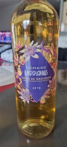 Lounais-Ranska Gascognen rinteet Domaine Morlannes  2019