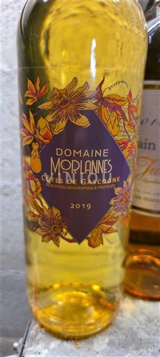 South West Côtes de Gascogne Domaine Morlannes  2019