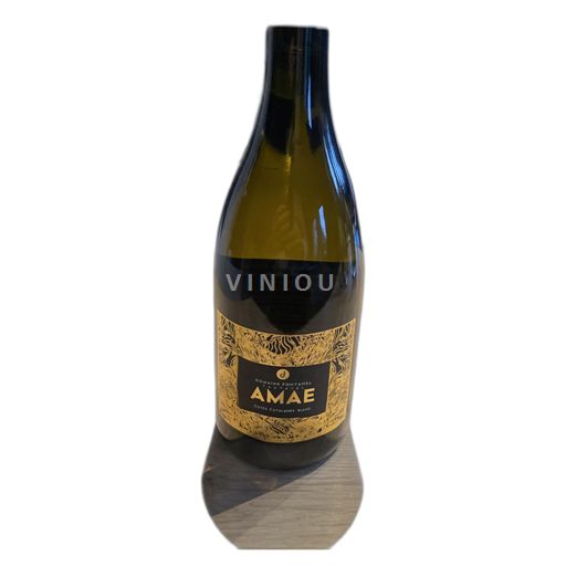 Linguadoca e Rossiglione Côtes catalanes Domaine Fontanel Amae 2022