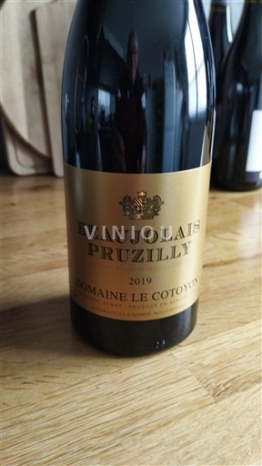 Beaujolais Domaine Le Cotoyon 2019