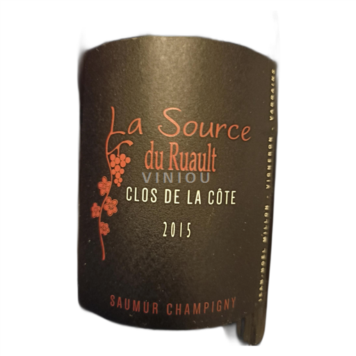 Loiretal Saumur-Champigny La Source du Ruault Clos de la Côte 2015