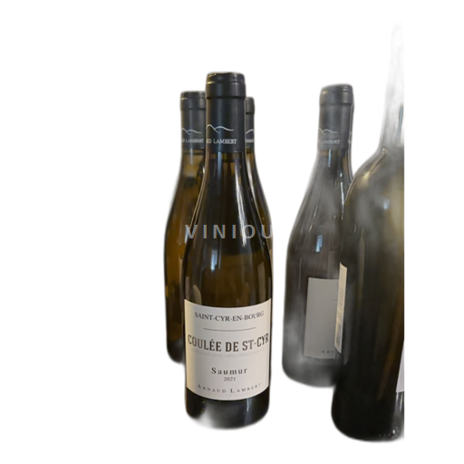 Thung lũng sông Loire Saumur Arnaud Lambert Coulée de St-Cyr 2021