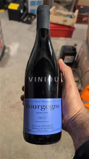 Bourgogne Domaine Sylvain Pataille 2022