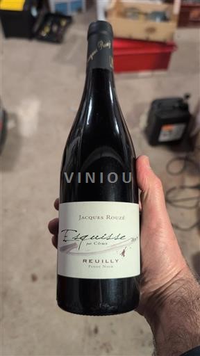 Valle del Loira Reuilly Jacques Rouzé Esquisse par Côme 2019