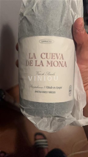 Navarre Prado de Irache Añadas Viños y Viñedos La Cueva de la Mona 2022