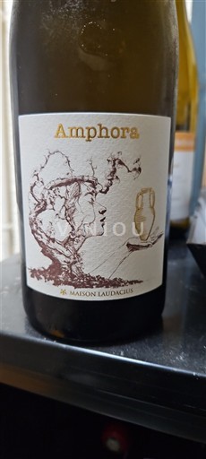 Languedoc Ospecificerad Maison Laudacius Amphora 2023