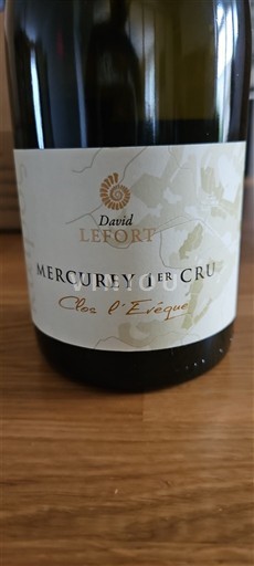Burgundsko Mercurey Premier Cru David Lefort Clos l'Evêque 2023