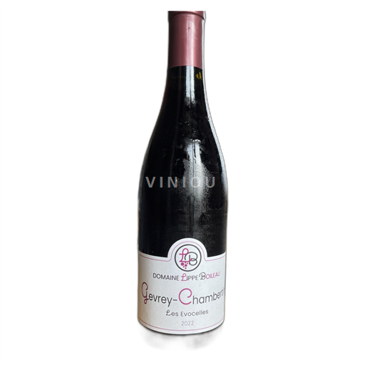 Burgundy Gevrey-Chambertin Domaine Lippe Boileau Les Evocelles 2022
