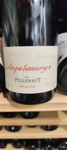 Jugozahod Côtes de Gascogne Domaine Pellehaut Ampelomeryx 2022