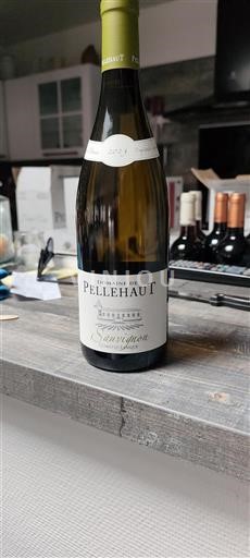 Zuidwest-Frankrijk Niet gespecificeerd Domaine Pellehaut Sauvignon 2023