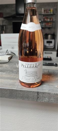 South West Côtes de Gascogne Domaine Pellehaut Climat océanique 2023