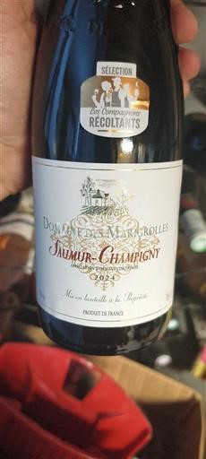 Loire-dalen Saumur-Champigny Domaine Des Vaugrolles 2024