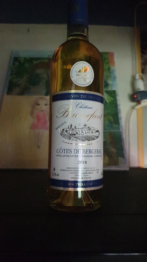 Sudoeste Côtes de Bergerac Château Bramefant 2014