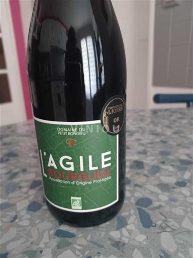 Loire-dalen Bourgueil Domaine Petit Bondieu L'Agile Ikke årgangsbestemt