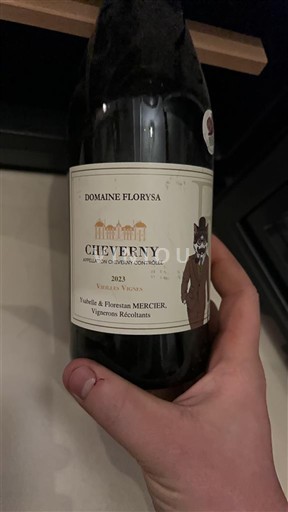 Loire-dalen Cheverny Domaine Florysa 2023