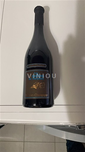 Loire-dalen Saumur-Champigny Les oulins de Turquant 2019