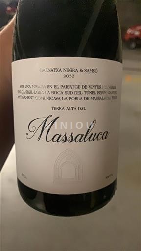 Vine Rouge sec Massaluca 2023 Spanien Catalonien Terra Alta DO
