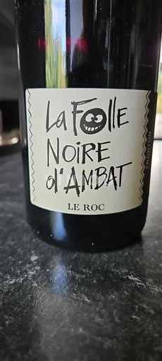 Sydväst Fronton Domaine Le Roc La Folle Noire d'Ambat 2022