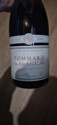 Bourgogne Pommard Domaine Moissenet Bonnard Les Petits Noizons 2018