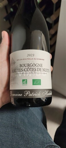 Вина Rouge sec Domaine Patrick Hudelot 2023 Francuska Burgundija Hautes Kote de Nji AOC