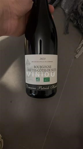 Borgonha Hautes Côtes de Nuits Domaine Patrick Hudelot 2023