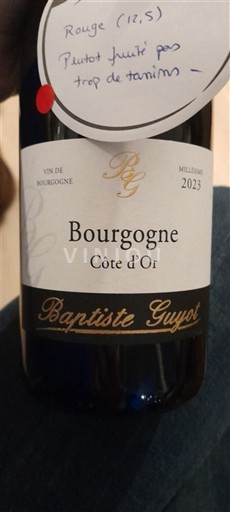 Burgundi Bourgogne Côte d'Or Baptiste Guyot 2023