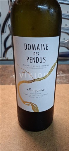 Genève Giữa Sông Arve và Hồ Domaine Des Pendus Sauvignon 2023