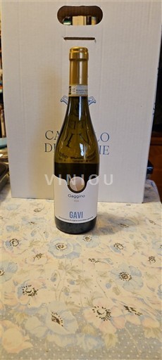 Piëmont Gavi Gaggino Gavi 2024