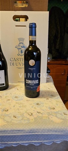 Piemonte Dolcetto d'Ovada Gaggino Convivio 2022