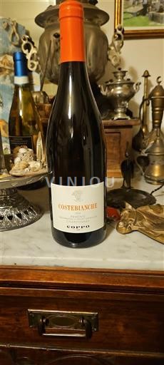 Piemonte Coppo Costebianche 2024