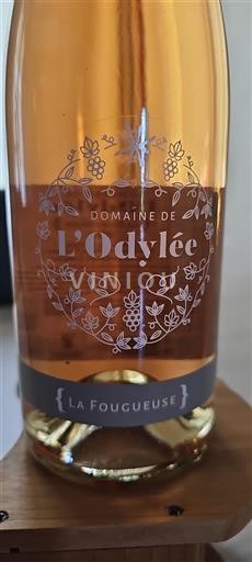 Beaujolais Domaine L'Adrée La Fougueuse 2023