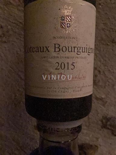 Borgoña Coteaux de Borgoña Jules Descombins 2015