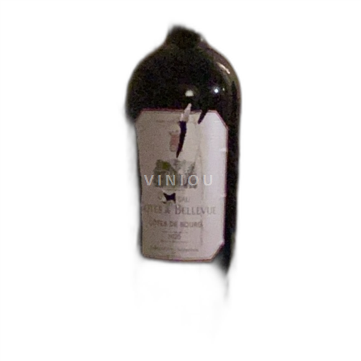 Burdeos Côtes-de-bourg Château Côtes de Bellevue 2020