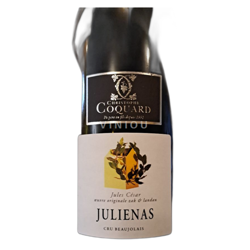 Beaujolais Juliénas Jules César 2023