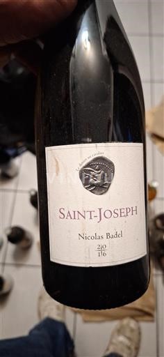 Rona dolina Saint-Joseph Nicolas Badel 2016
