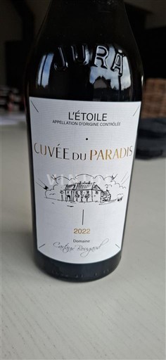 Jura L'Étoile Domaine Cartaux-Bougaud du Paradis 2022