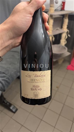 Dolina Loare Chinon Pierre Sourdais Les Boulais 2018