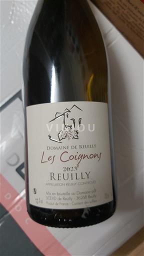 Loiren laakso Reuilly Domaine Reuilly Les Coignons 2022