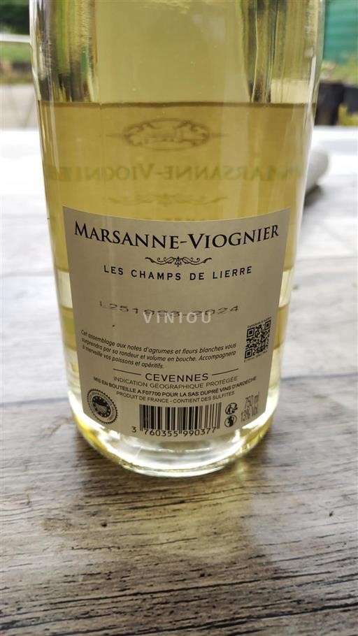 Languedoc und Roussillon Cévennen Les Champs de Lierre Ohne Jahrgang