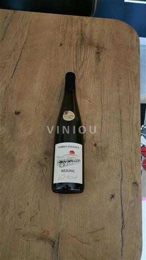 Alsace Riesling Terres Alsace Vieil Armand 2024